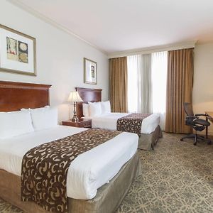 Superior Double Room Two Double Beds